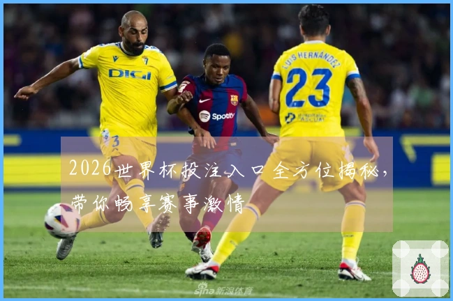 2026世界杯投注入口全方位揭秘，带你畅享赛事激情