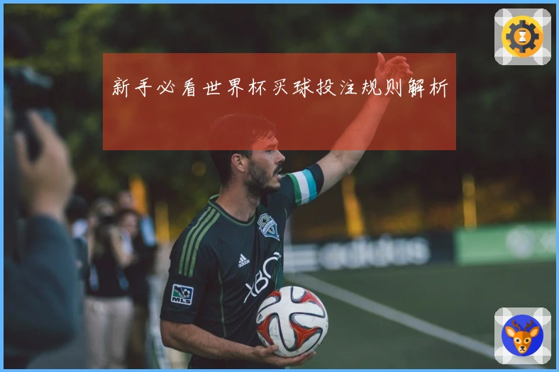 新手必看世界杯买球投注规则解析