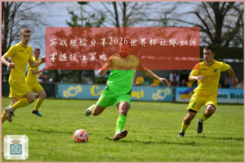 实战经验分享2026世界杯让球如何掌握投注策略