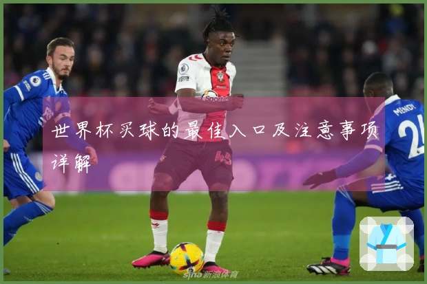 世界杯买球的最佳入口及注意事项详解